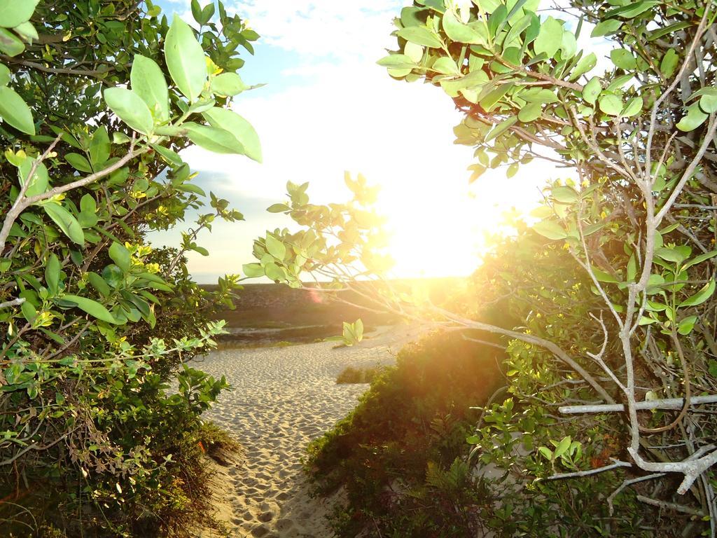 Hostel Casa Terra Florianópolis Εξωτερικό φωτογραφία