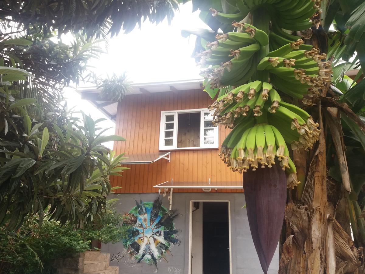 Hostel Casa Terra Florianópolis Εξωτερικό φωτογραφία